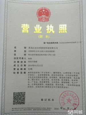 深耕黑土地，服務(wù)轉(zhuǎn)型路——教育咨詢服務(wù)助力發(fā)展全解析